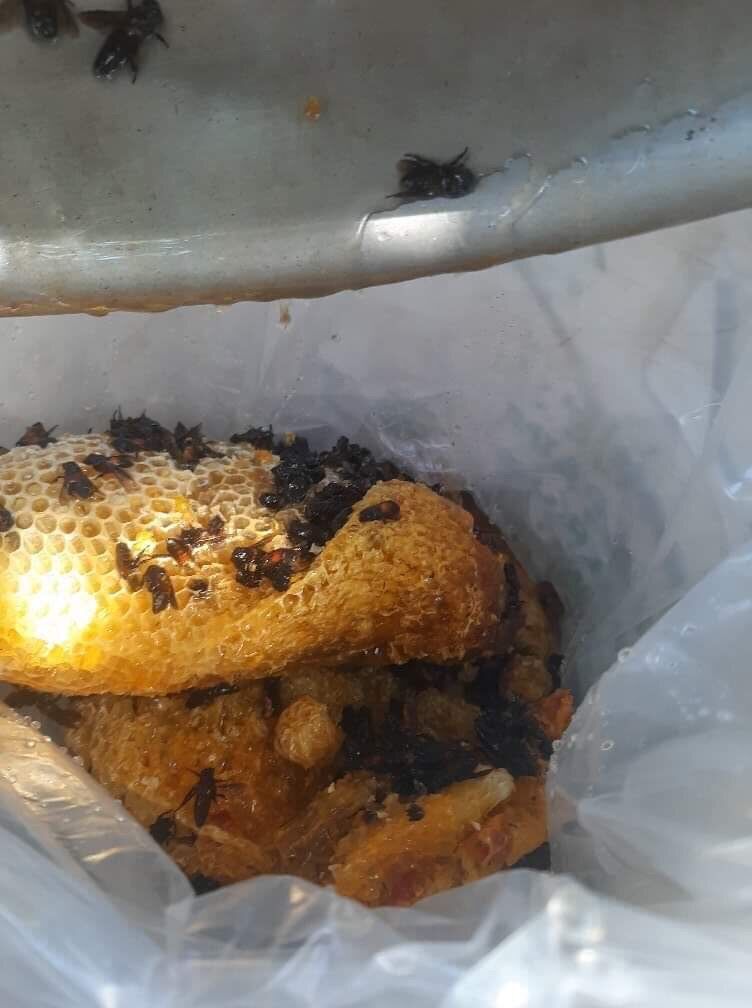 Mật ong khoái( chai 1lit giá 350k)
