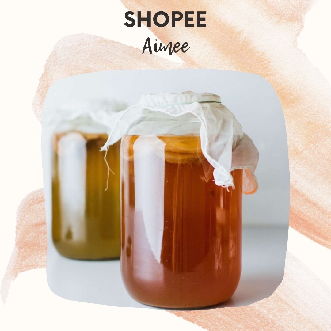 Trà Kombucha, giống Kombucha