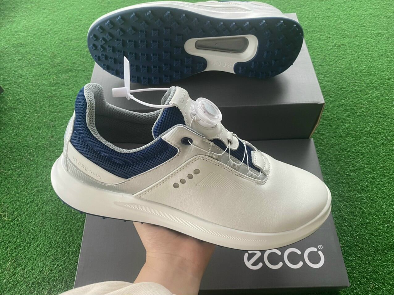 Giày Golf Ecco Núm Boa - Mẫu mới 2022