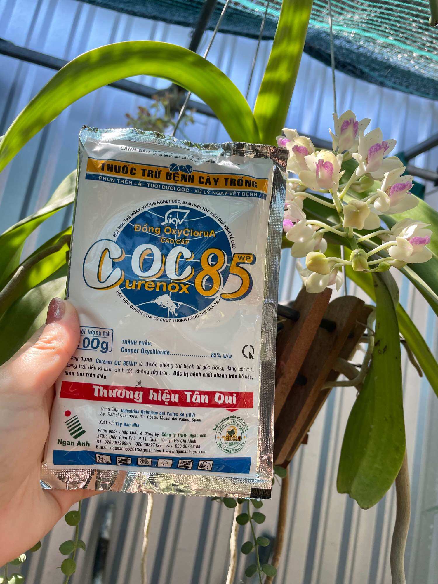 COC 85 gói 100gr - Phòng trừ Nấm Bệnh