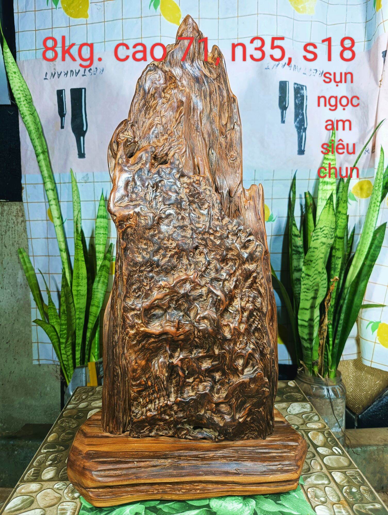 Lũa gỗ thơm ngọc am đỏ hà giang