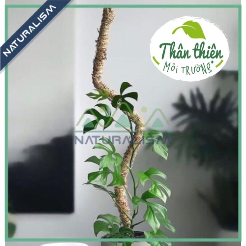 Trụ Xơ Dừa Sáng Tạo uốn được để trồng cây dây leo chầu bà