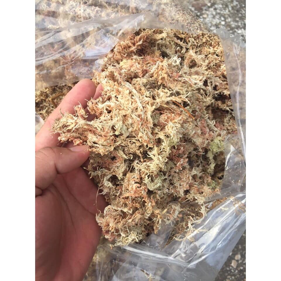 - dớn chile trắng hàng xịn trắng giữ ẩm tốt gói 100gram - thắng nguyễn garden