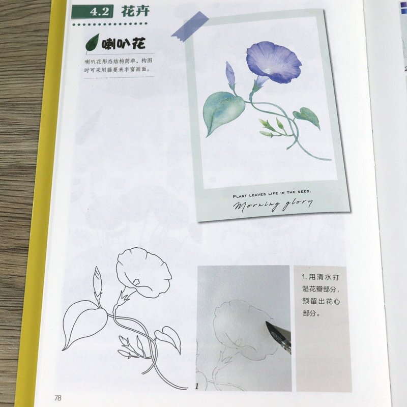 ARTBOOK Vẽ Hoa Lá Màu nước