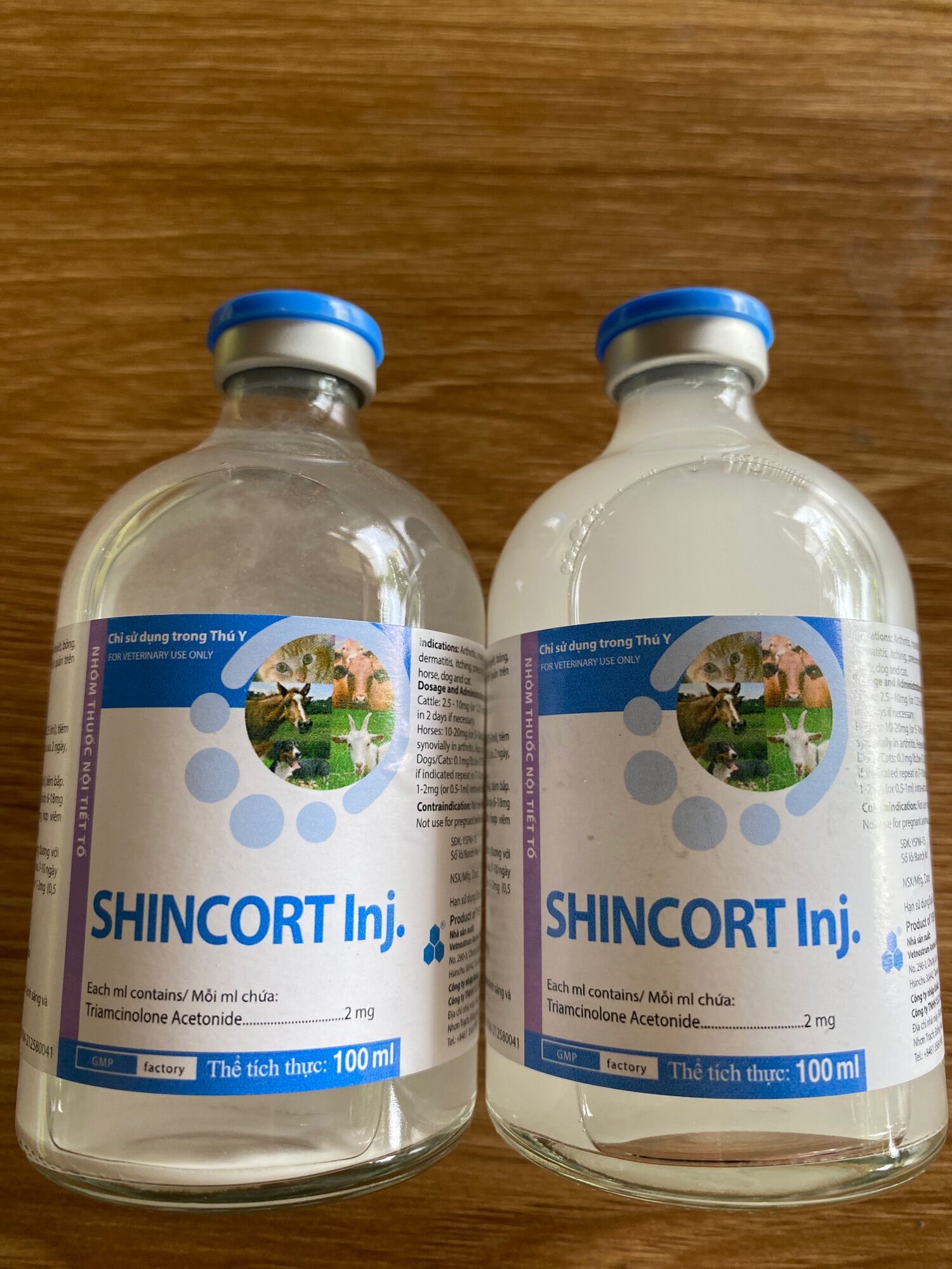 Shincort 100ml - khắc phục tình trạng viêm da, nổi nốt ở vật nuôi