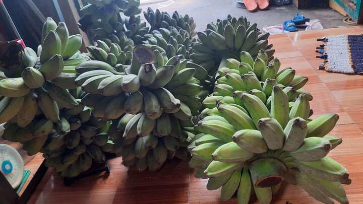 2kg Chuối sáp khách mua về tự luộc