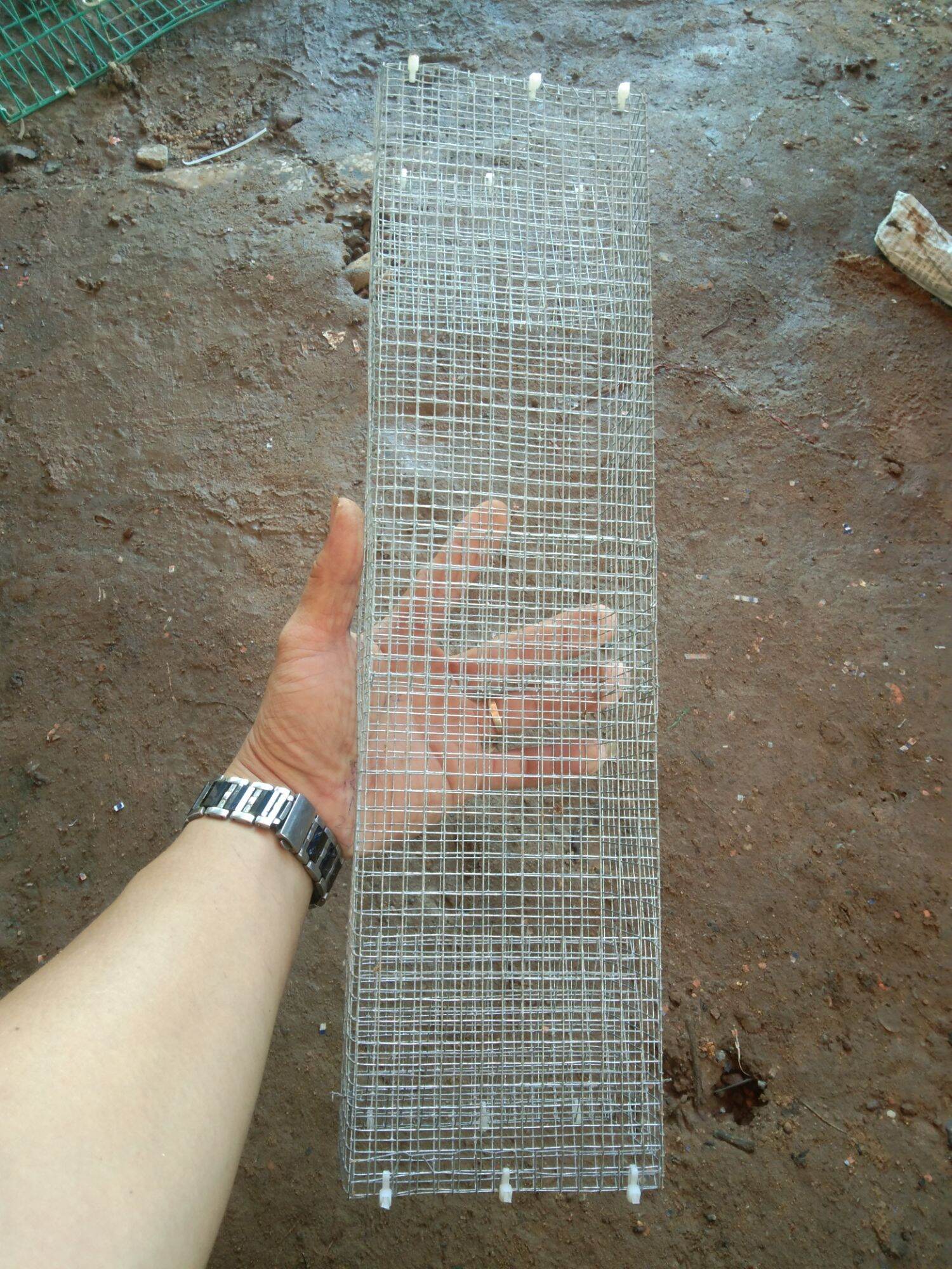 cách bẫy rắn mối