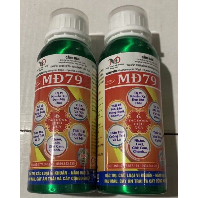 Quản ly sơ đen cho mít thái MD79