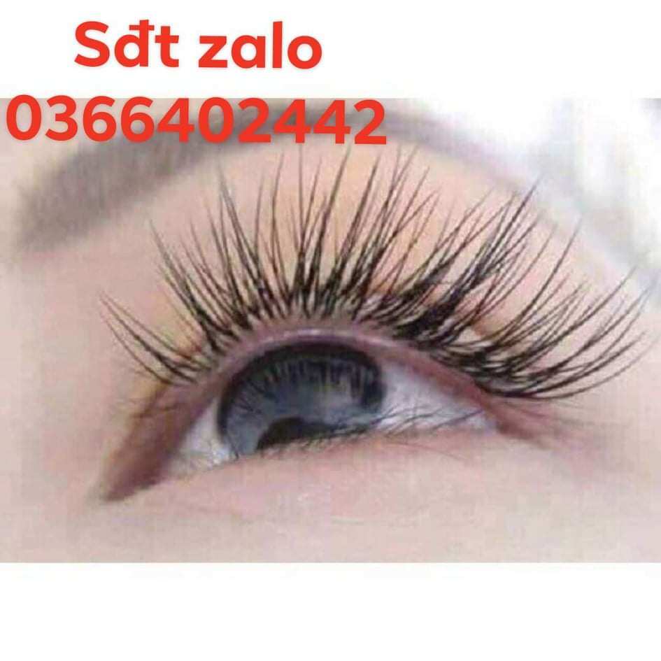 Tinh dầu Maroc giúp dưỡng mi cong dài ,lông mày đen