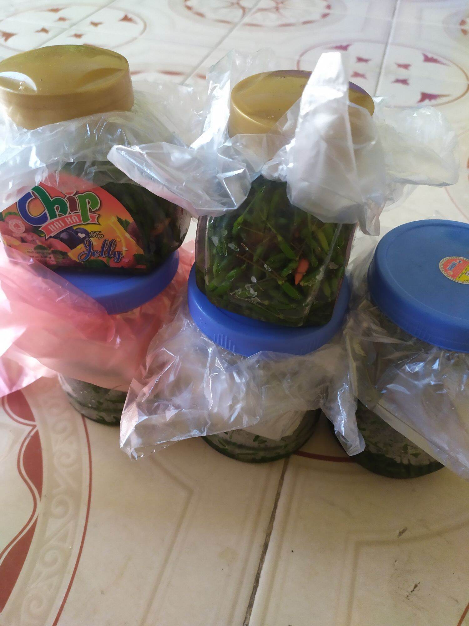 Ớt gió đóng hộp
