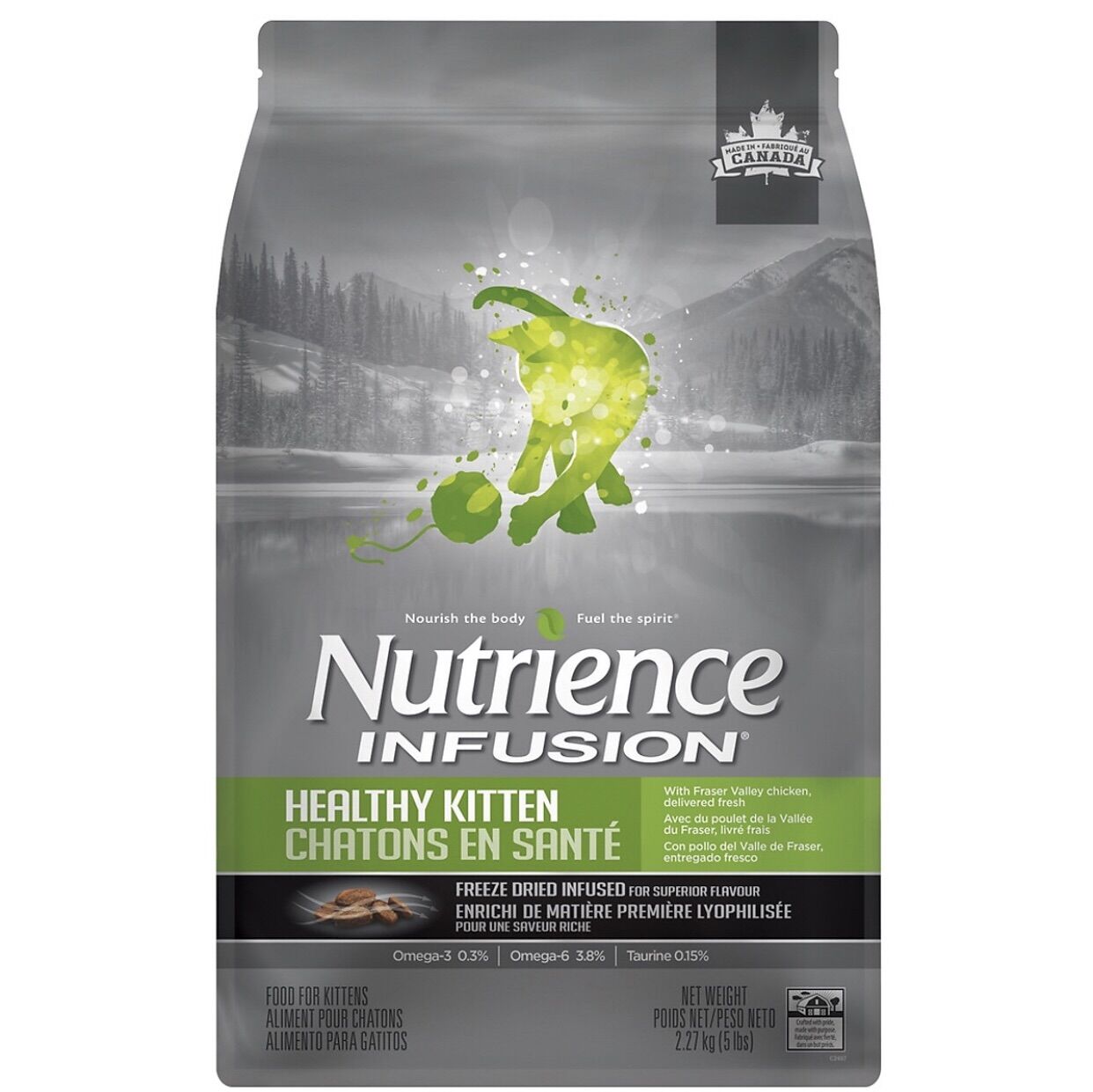 Hạt khô Nutrience Infusion Kitten mèo con