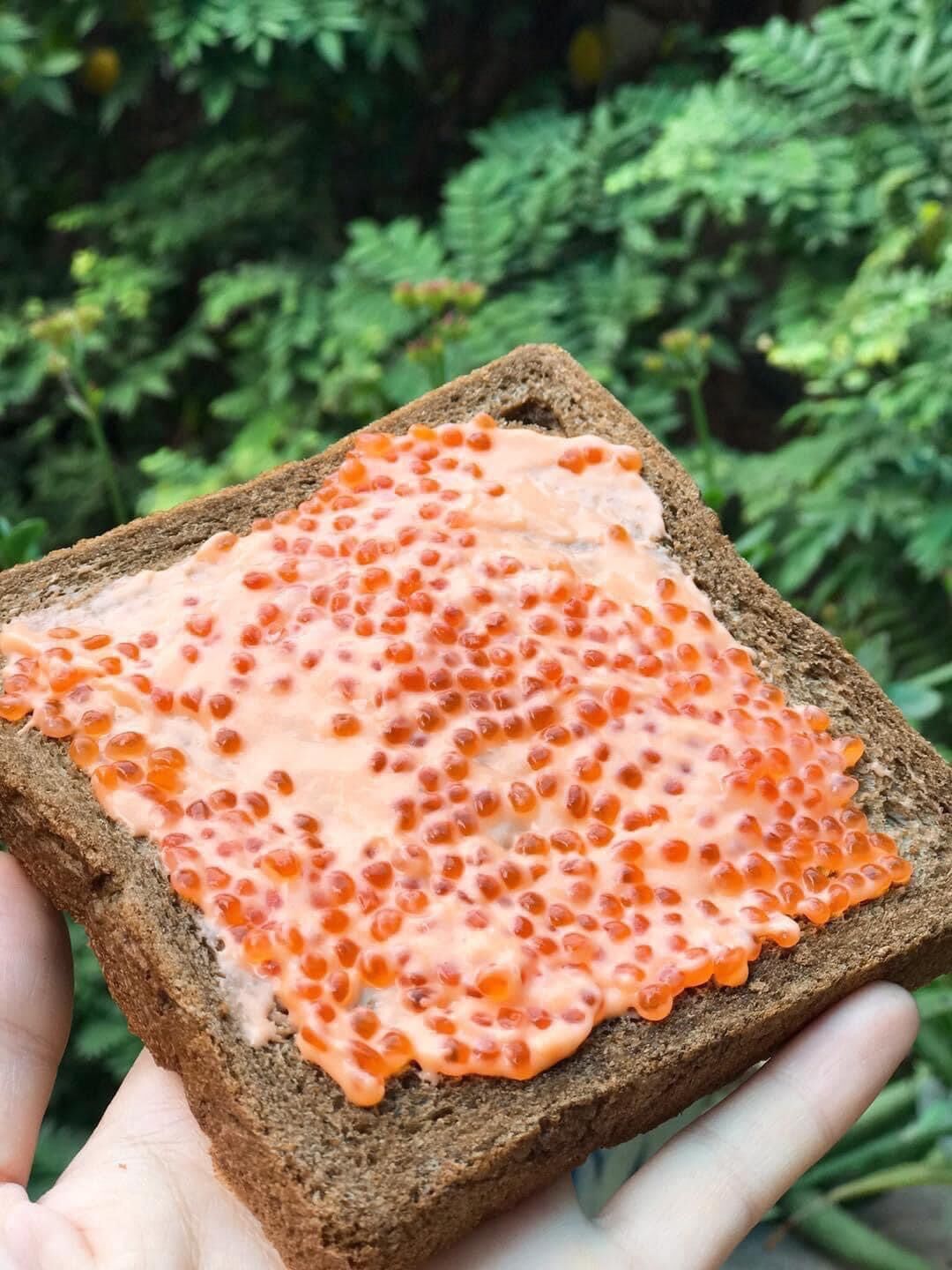 Trứng Cá Hồi Phô Mai Nga