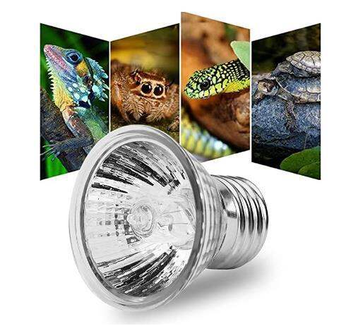 Bộ đèn sưởi bò sát +1 bóng uva uvb 50w