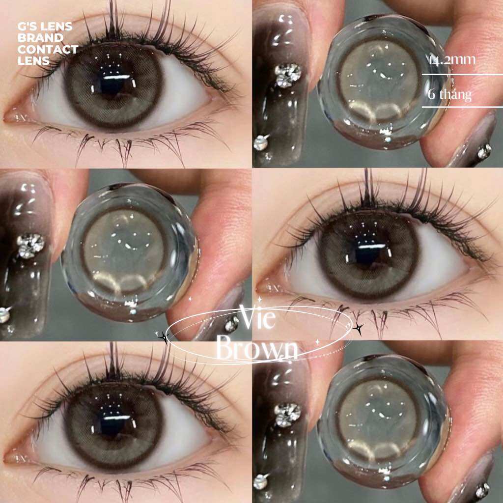 Lens mắt kính áp tròng xám nâu tự nhiên vie brown giãn ít 14.2mm có từ 0 đến 6 độ lệch độ-g's lens