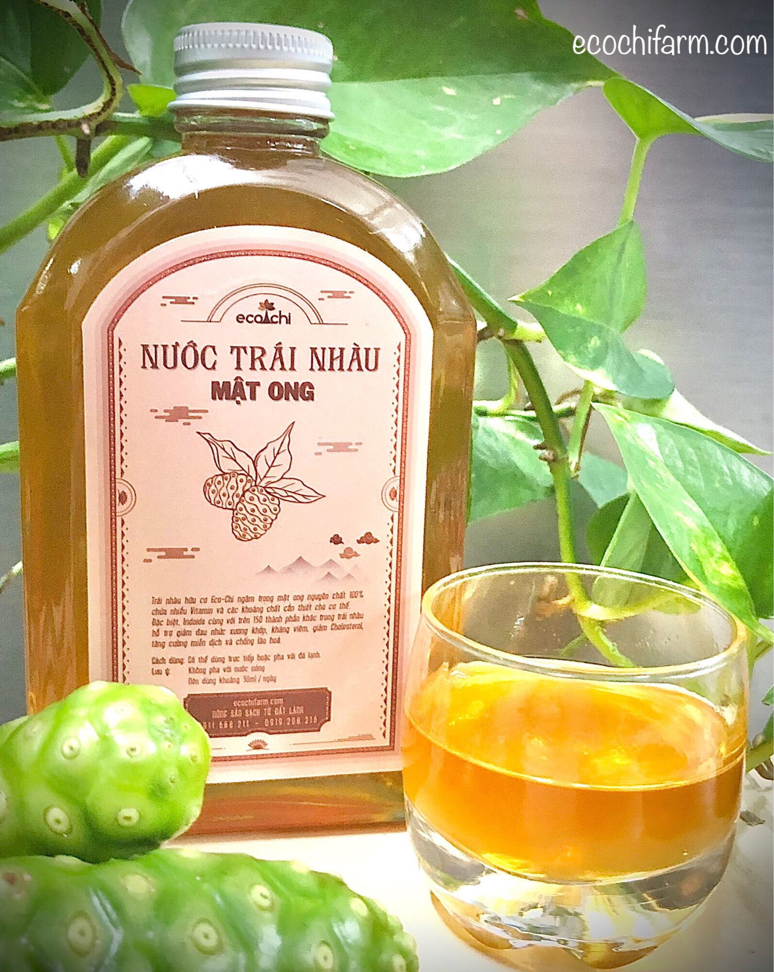 Combo 3 Chai Nước Trái Nhàu Mật Ong Ecochi - 250Ml X 3