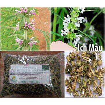 500gr cây ích mẫu khô hàng loại 1.