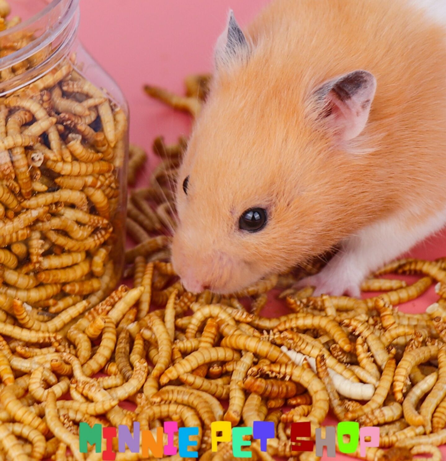Hủ sâu khô superworm cho Hamster (100g)