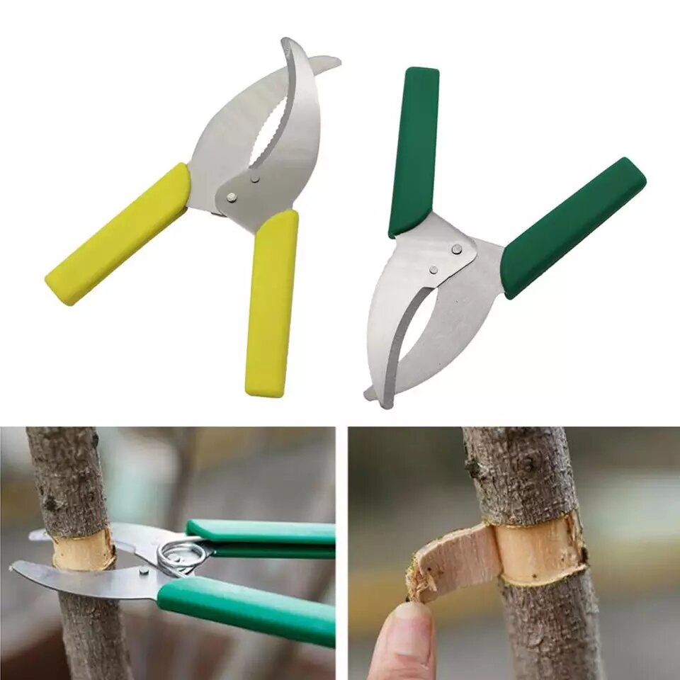 Dụng cụ khoanh vỏ cây kích thích ra hoa, kết trái của