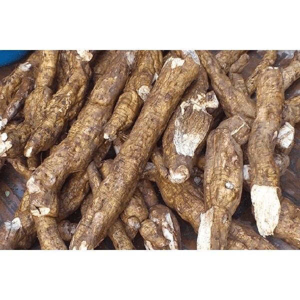 Bột sắn dây tự nhiên 500 gr