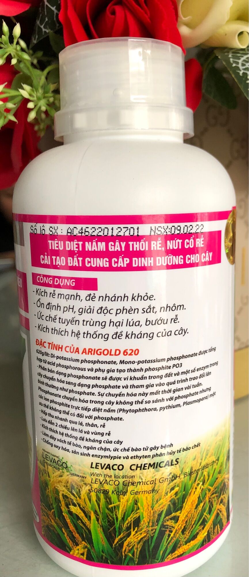 Arigold 620 - An Phát Nông