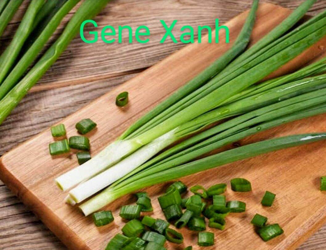 Hành hoa, hành lá 5gr/gói