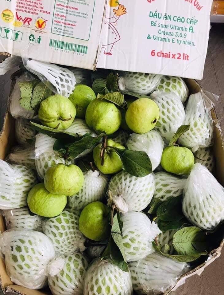 Ổi vườn 1kg