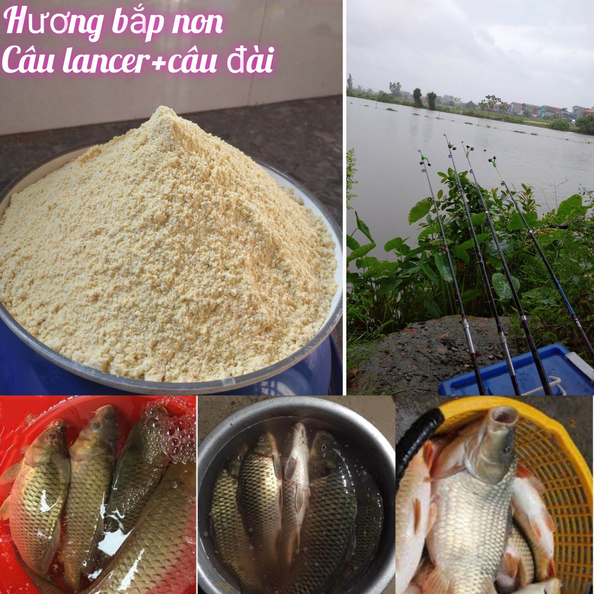 500gam bột bắp, bột ngô chuyên câu lancer và câu đài, câu chép, trôi
