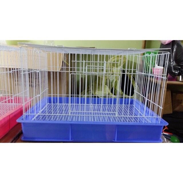 Lồng nuôi vẹt non,thỏ,bọ size 55cm