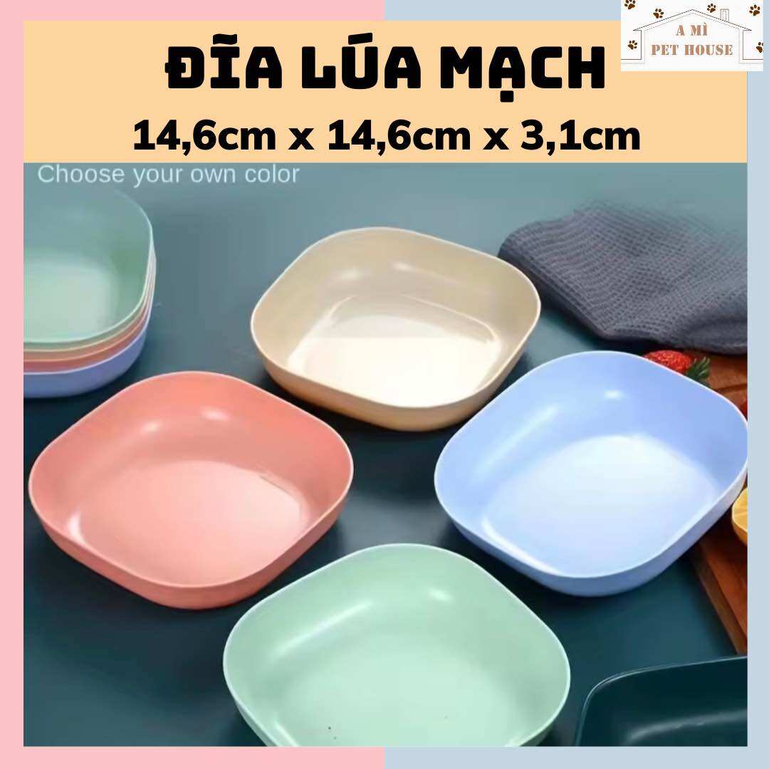 Đĩa lúa mạch hình vuông