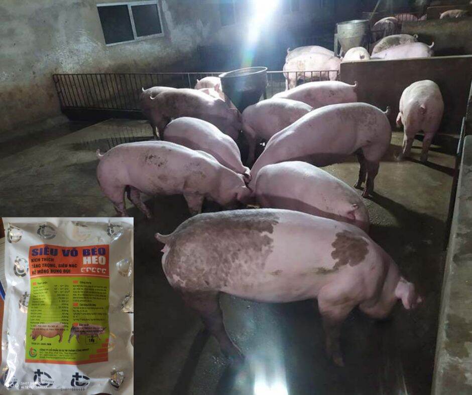 1kg Siêu Vỗ Béo Heo chất lượng cao.