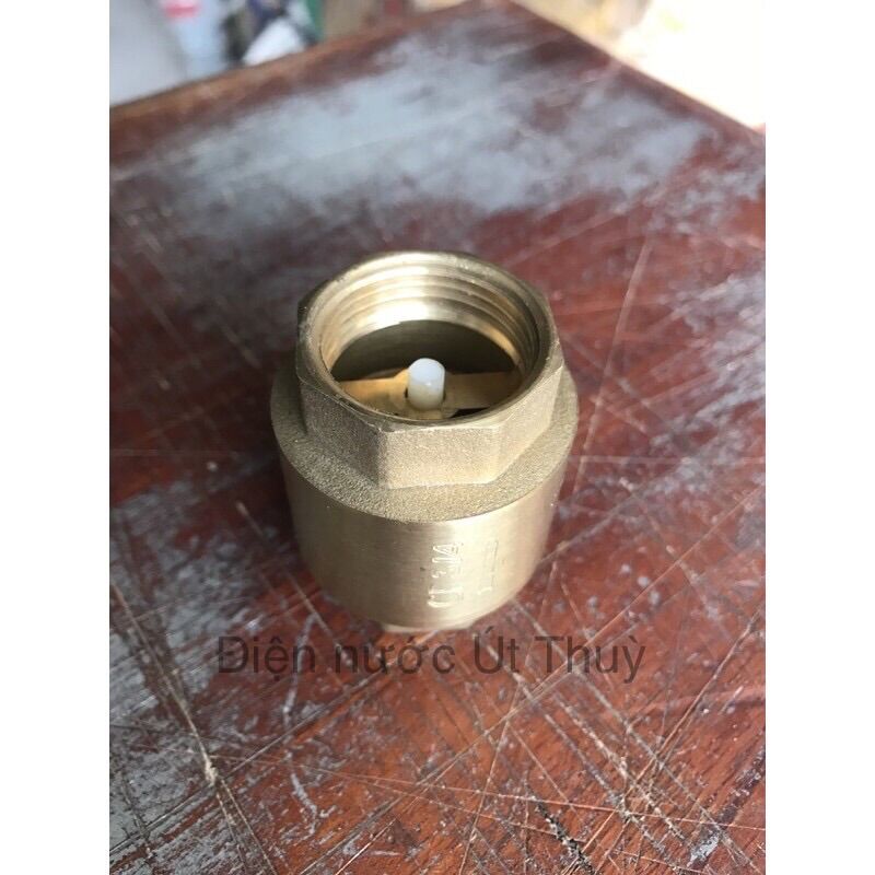 Van 1 chiều lò xo đồng thau