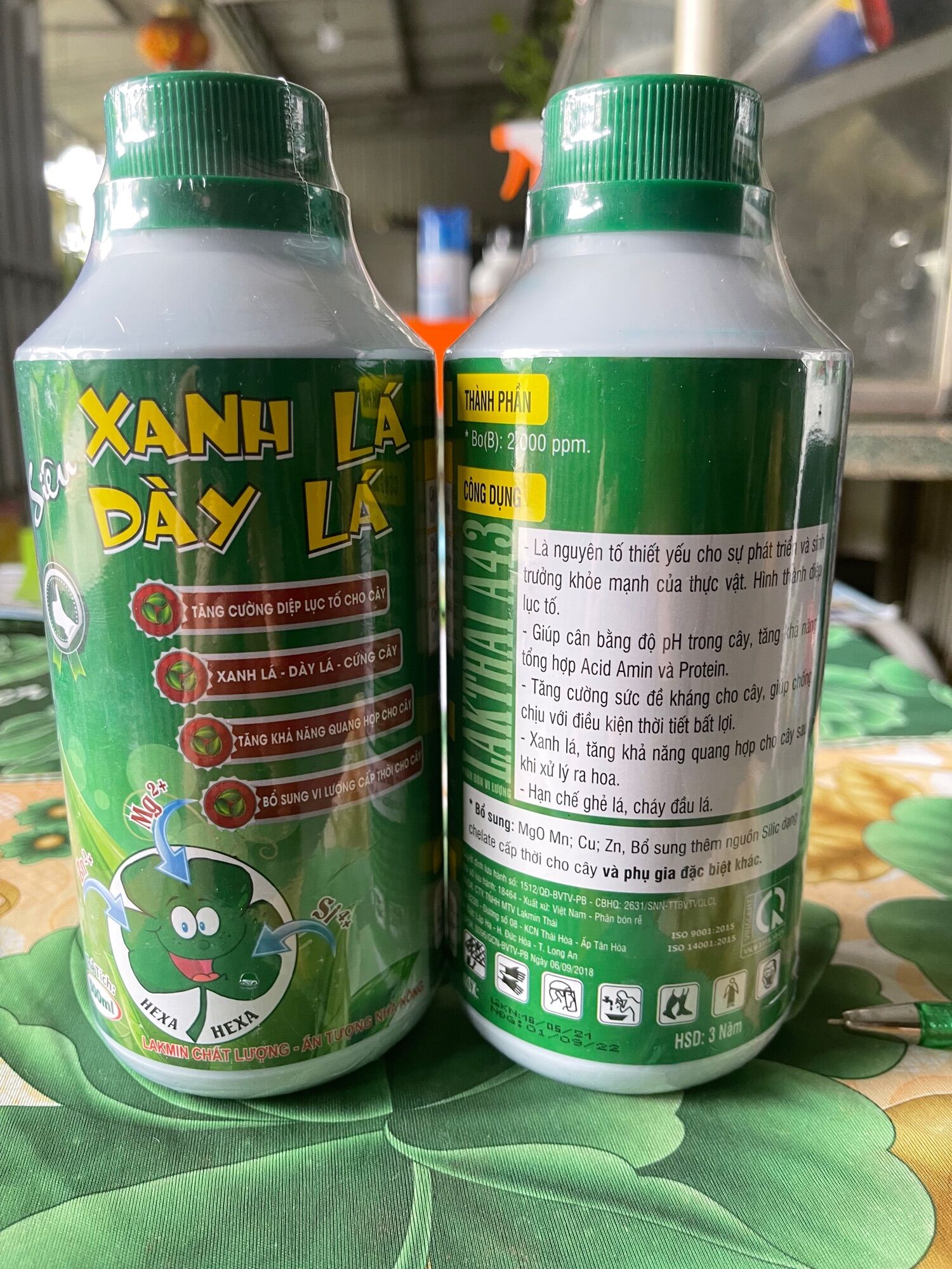 XANH LÁ DÀY LÁ