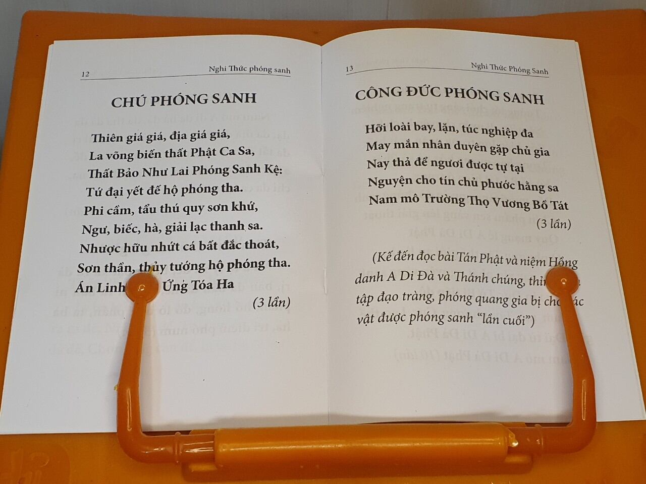 Kinh Nghi Thức Phóng Sanh