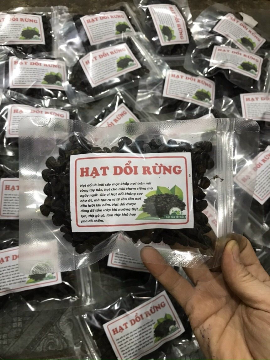 50 Hạt dổi rừng Tây Bắc thơm, chuẩn