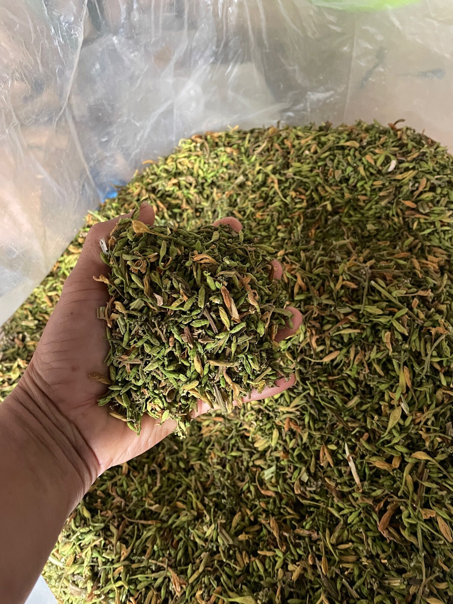 Hoa đu đủ đực sấy khô 500gr