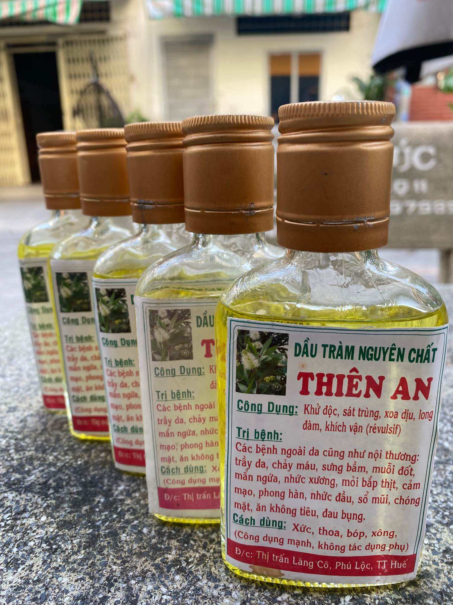 Dầu tràm huế nguyên chất Thiên An 100ml (giá gốc)