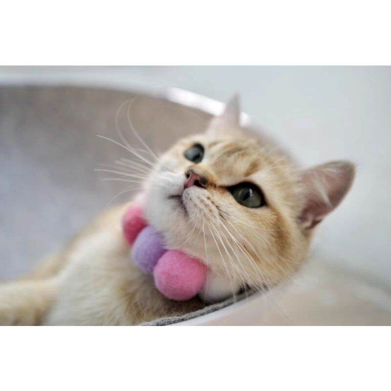 Vòng Cổ Pom Pom Cho Boss