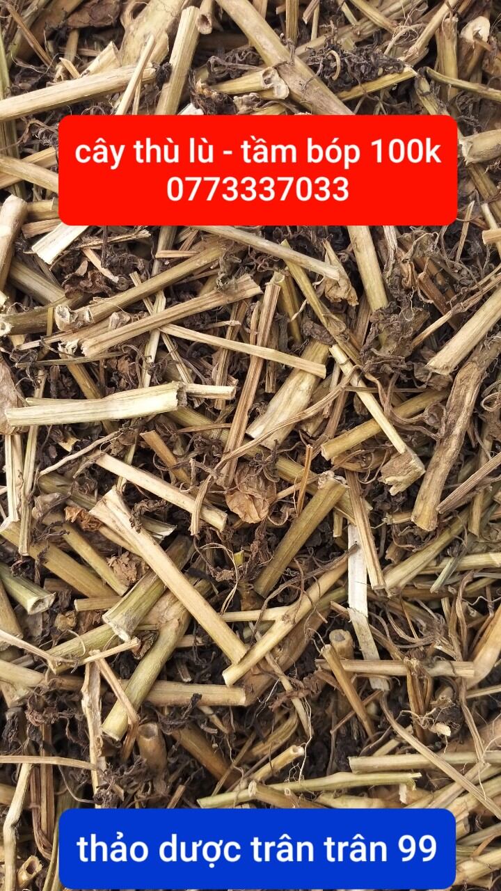 cây thù lù - tầm bóp phơi khô 1kg
