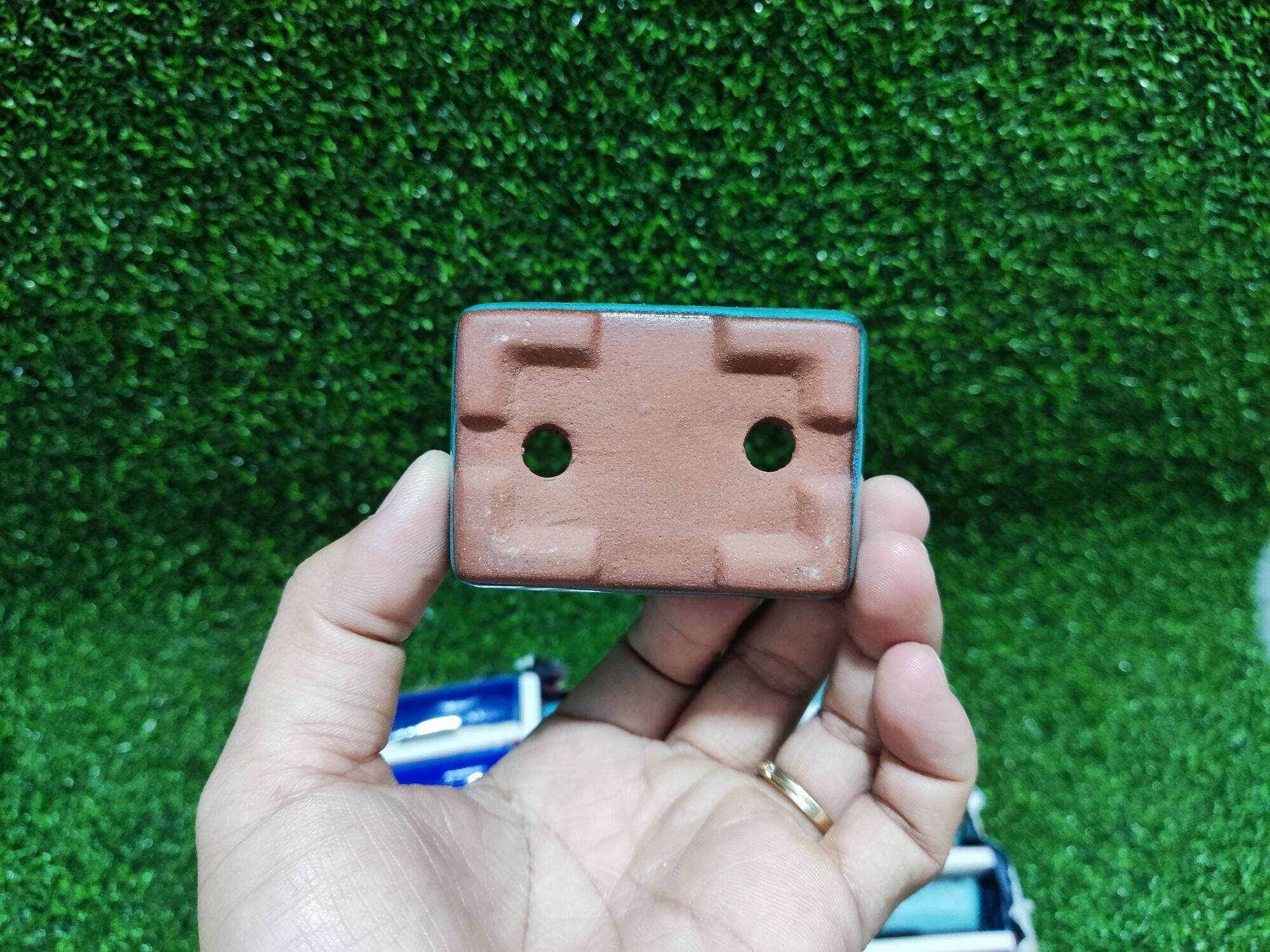 Chậu tàu mini