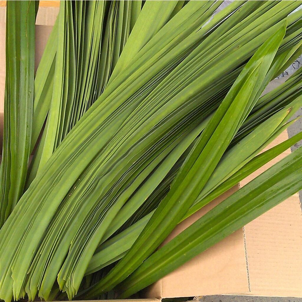Lá Dứa Khô 100 Gram