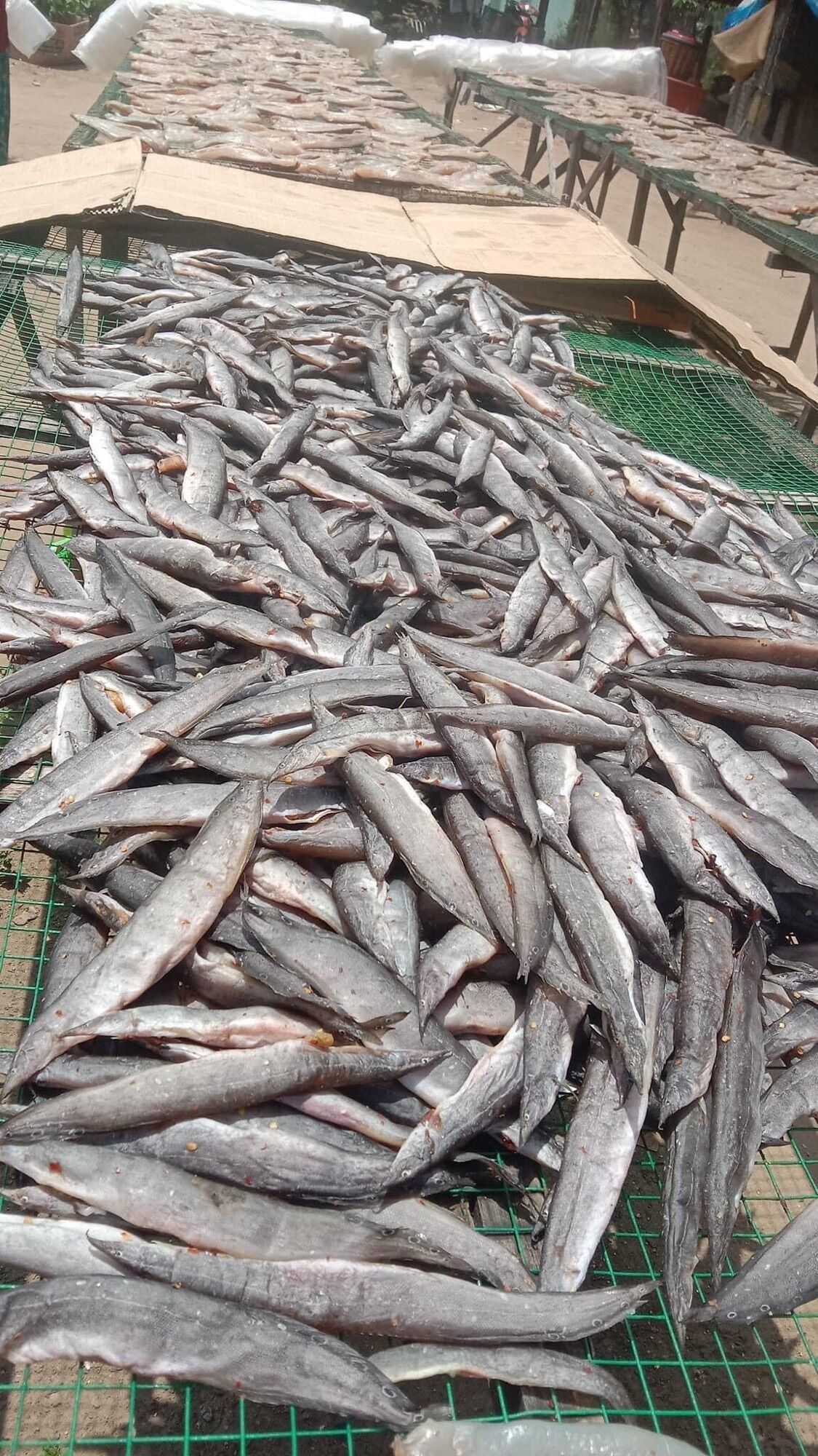 Khô cá chạch sông nửa kí