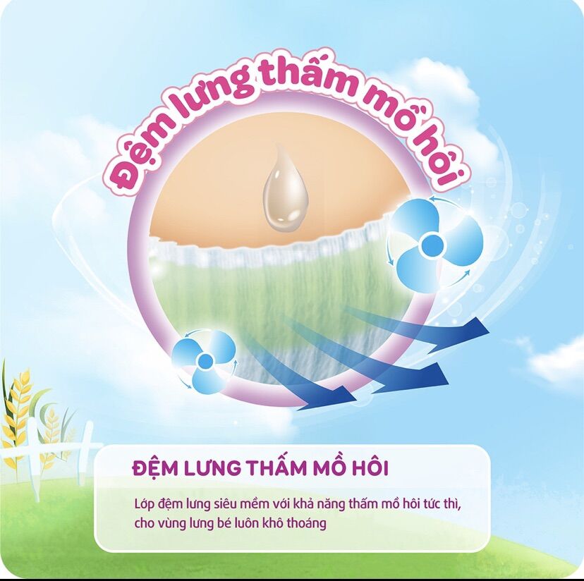 Tả quần Bobby XL84 +8 miếng gạo non mới