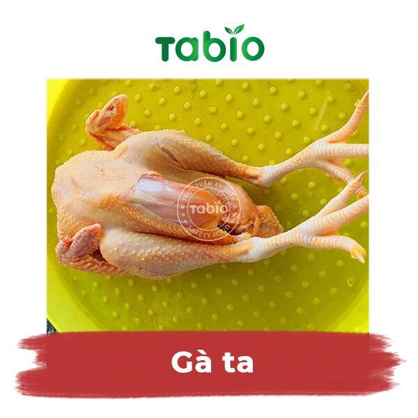 Hcm - gà ta 1,2kg - 1,3kg - tabio
