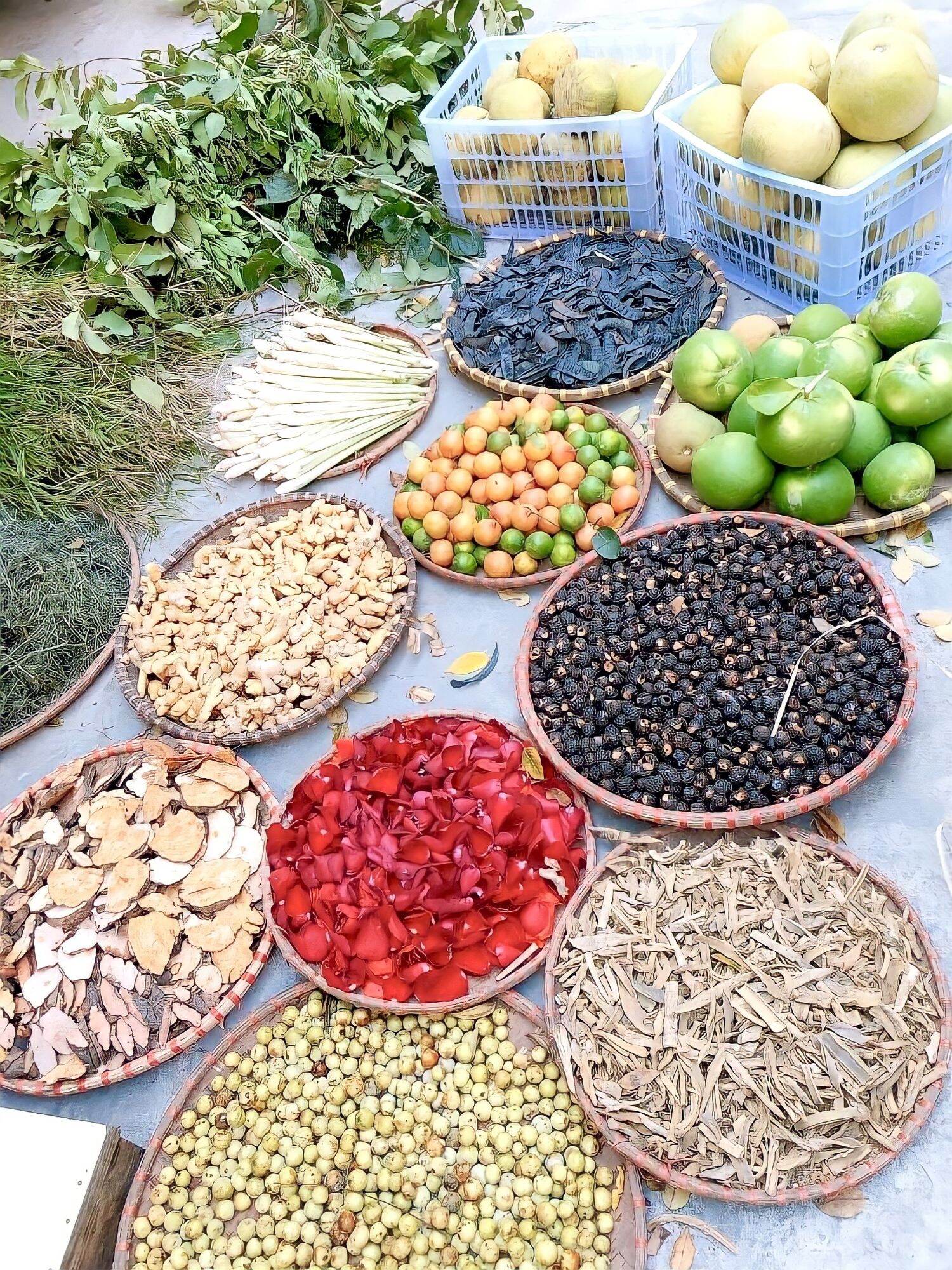 Cặp Dầu Gội Hoa Lá - Cỏ Cây