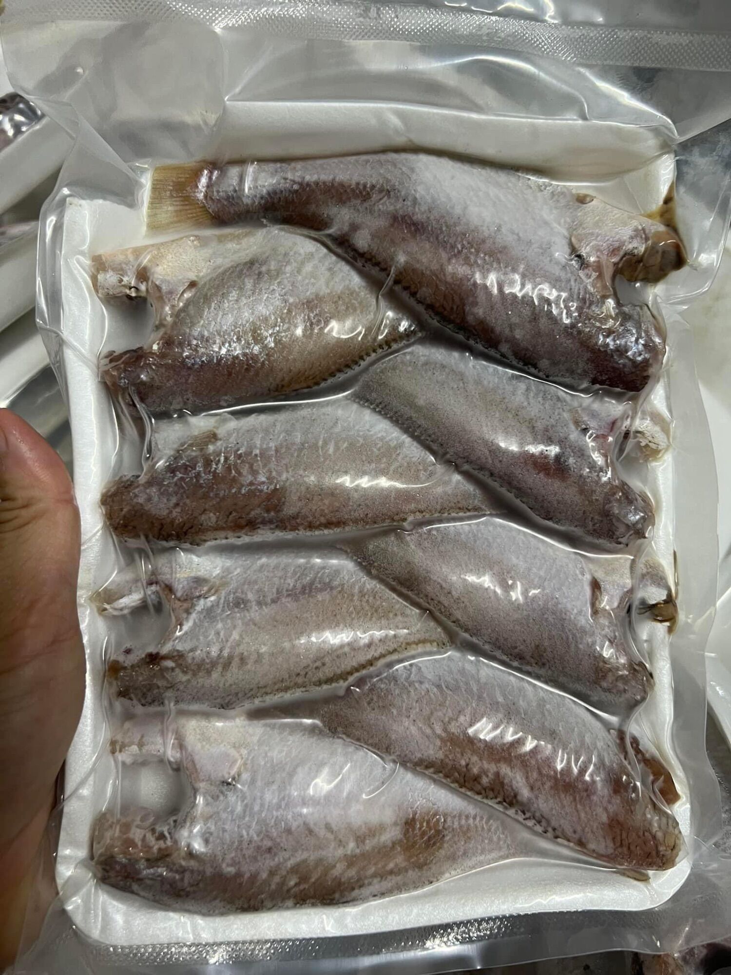 1kg Cá Đù 1 nắng Cần Giờ (hoả tốc)