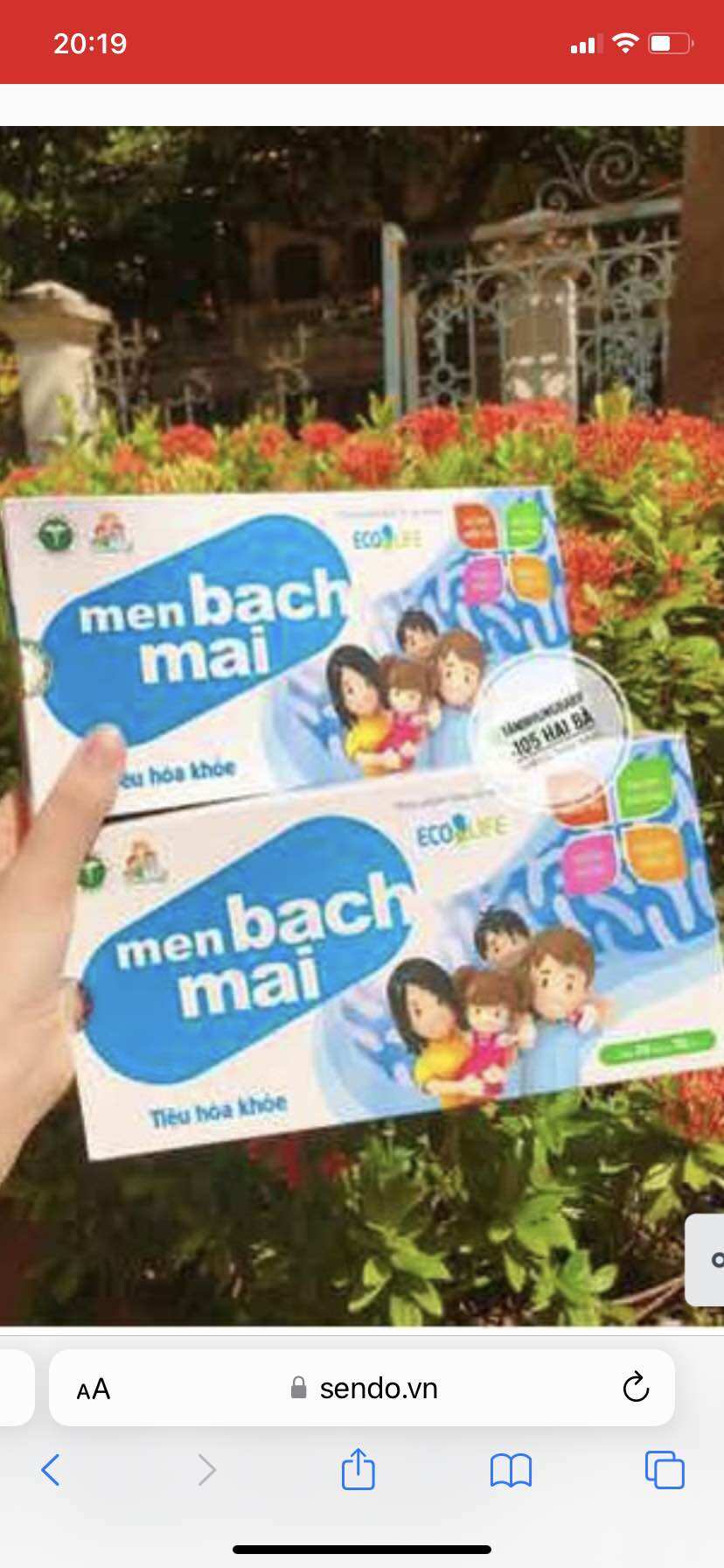 Men sống bạch mai.