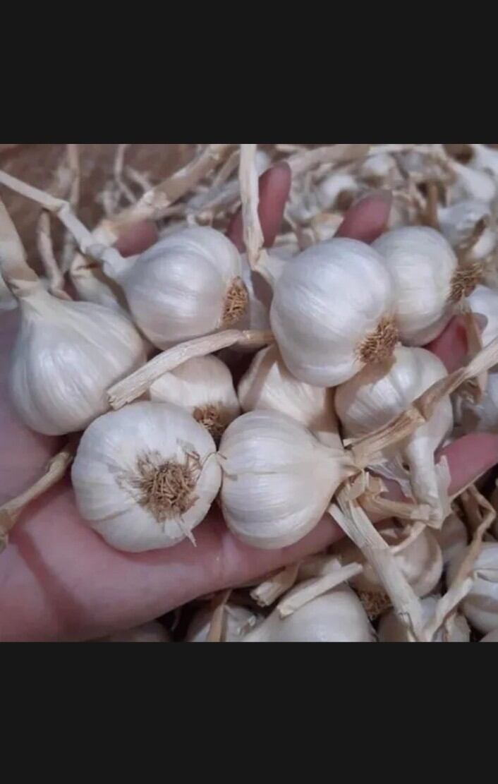 TỎI LÝ SƠN 500g