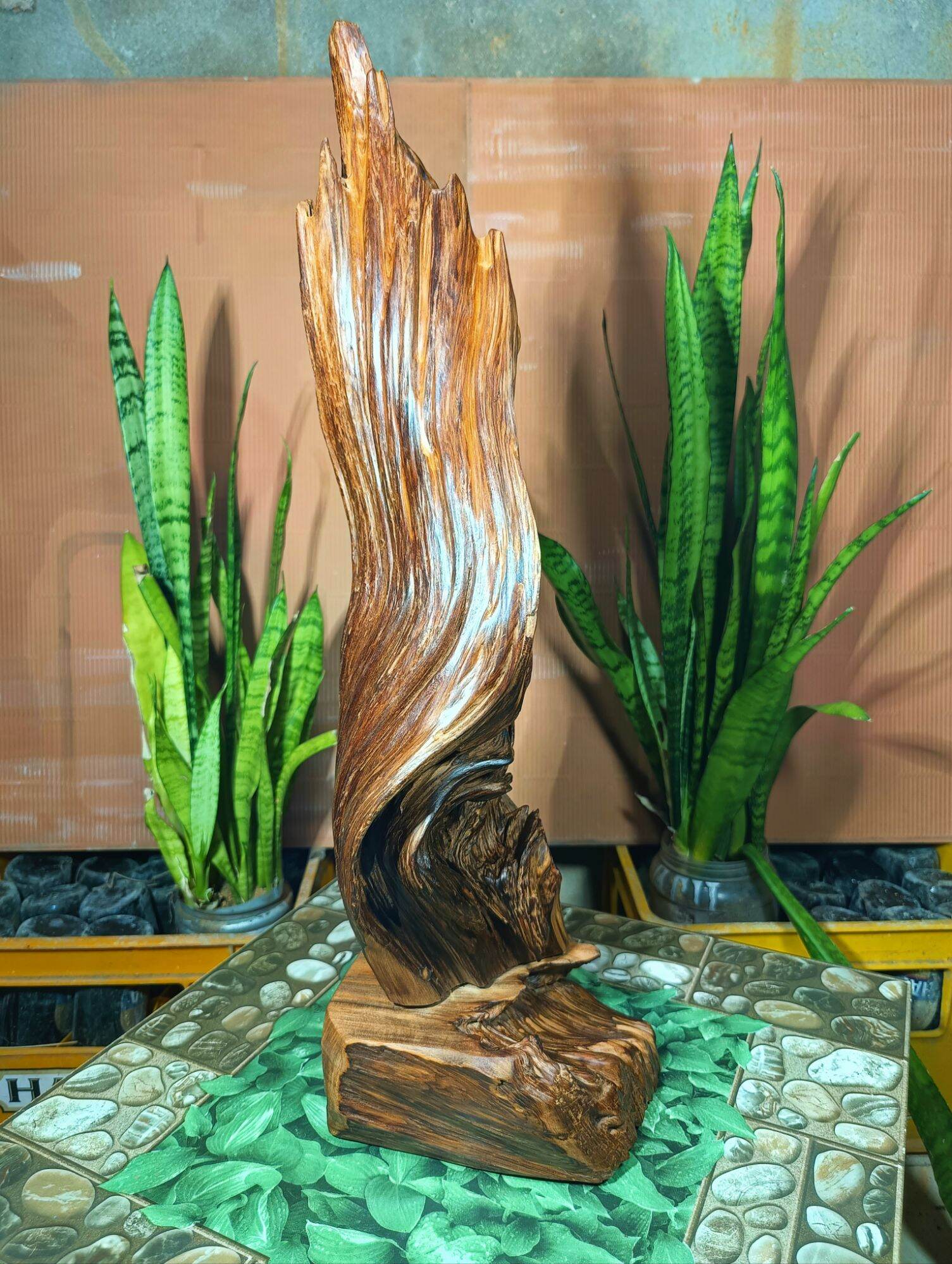 lũa gỗ thơm ngọc am đỏ hà giang