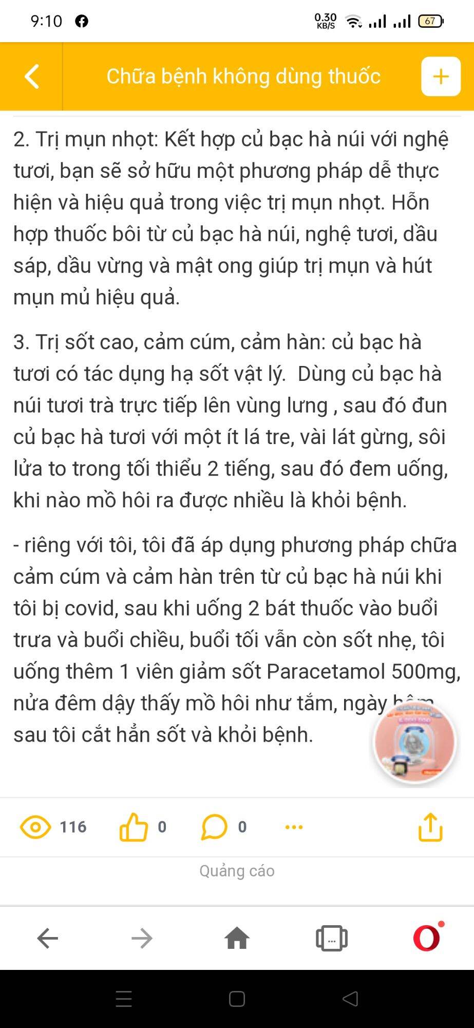 Combo 5Kg Củ Bạc Hà Núi An Giang -7 Núi