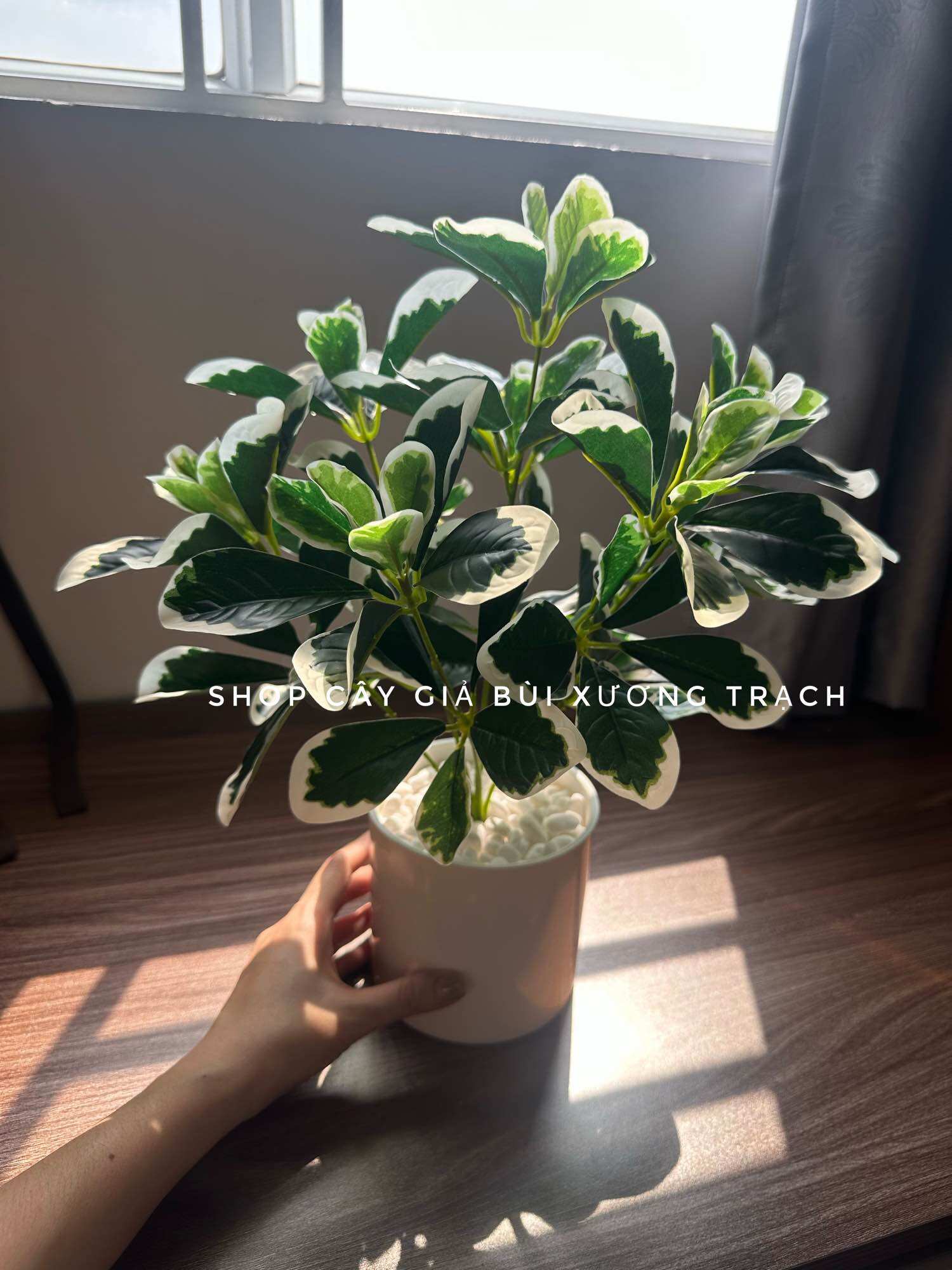 Chậu cây giả để bàn - chậu cây cẩm thạch 40cm